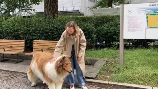 Toco: Unconventional Transformation From Human to Canine
