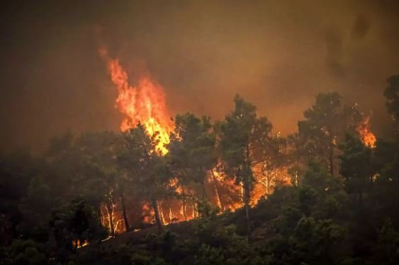 Wildfire Ravages Greek Island of Rhodes