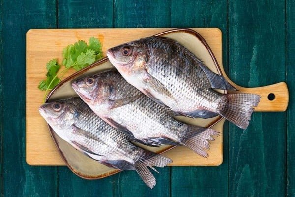 A woman in California had to have all of her limbs amputated after eating undercooked tilapia fish that had been contaminated with a lethal strain of Vibrio vulnificus bacteria