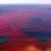 The coastal waters from Vaithikuppam up until the Gandhi statue in Puducherry have become red over the past week
