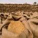 For FY24, the government has set fiscal deficit target of ₹17.87 trillion, or 5.9% of GDP