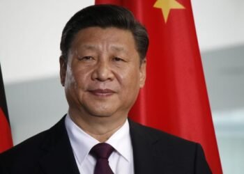 Chinese President Xi Jinping is expected to increase scrutiny over the sector above all other policy objectives, analysts and academics