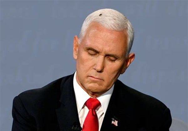 Former Vice President Mike Pence ended his presidential campaign