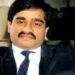 The land parcels are the underworld don's ancestral property and are located in Mumbake village in Maharashtra's Ratnagiri district.