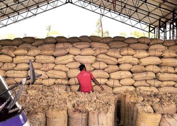 This initiative is part of the government's strategy to address the shortage of food grain storage capacity in the country.