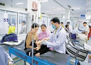 The Indian government is expected to allocate more funds for research and development, healthcare funding, and innovation in pharmaceuticals in the upcoming interim budget.