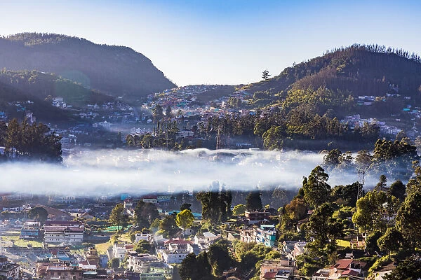 Unseasonal Cold Grips Ooty: Impact on Agriculture