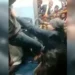 An inquiry has been initiated against the ticketing official, with the Railway Minister asserting zero tolerance for such misconduct.