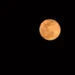 The full moon on February 24 will happen when the Moon is exactly on the opposite side of the Earth from the sun. The “Snow Moon” will be the smallest of the year as it rises during dusk on Saturday.