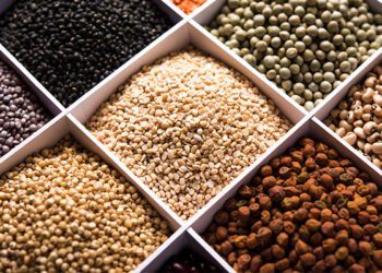 In 2023, India imported about 3.1 million tonnes of pulses, urad dal etc about half of which were lentils