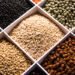 In 2023, India imported about 3.1 million tonnes of pulses, urad dal etc about half of which were lentils