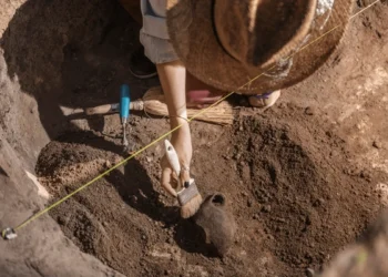 This is likely to be the largest mass burial of plague victims ever found in Europe.