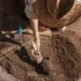 This is likely to be the largest mass burial of plague victims ever found in Europe.