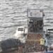 Maha Kumbh 2025 Sees Record 600 Tons of Floating Waste Recycling, Offers Lessons for Many
